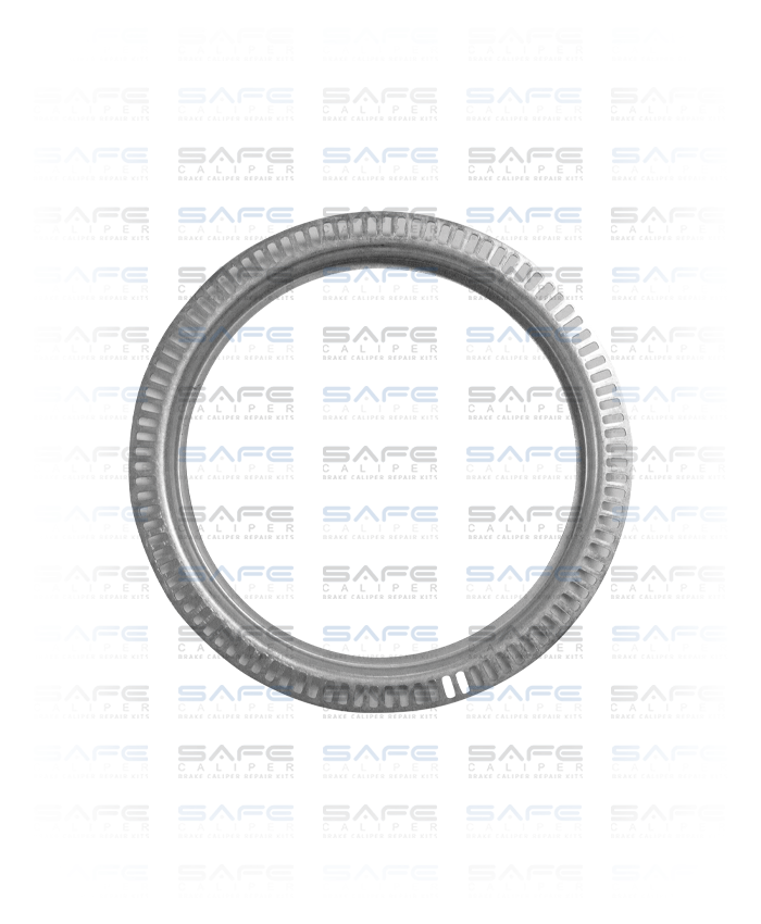 ABS Ring (DAF)