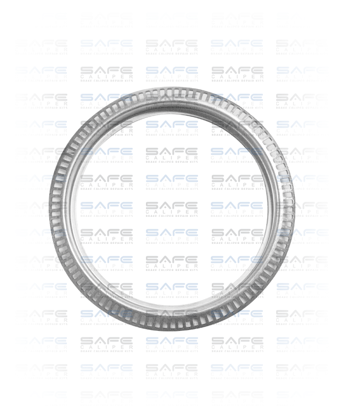 ABS Ring (DAF)
