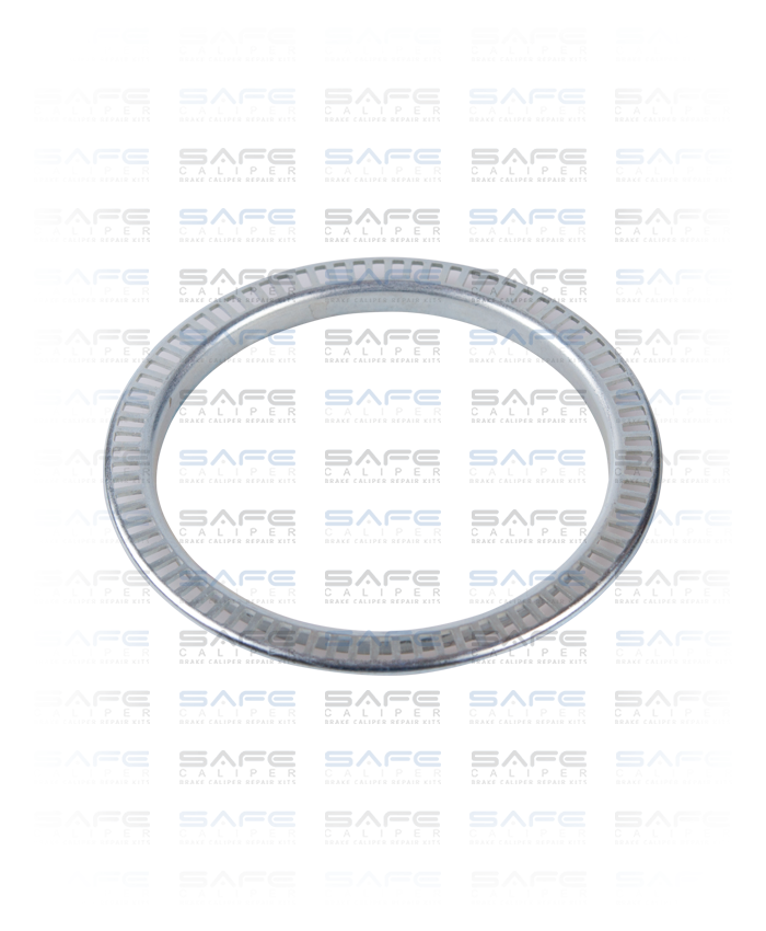 ABS Ring (Rear)