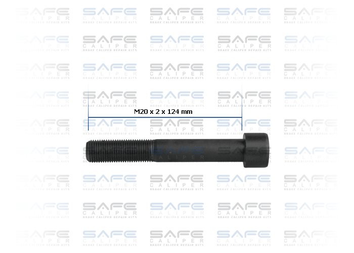 Bolt (M20 x 2 x 124 mm)