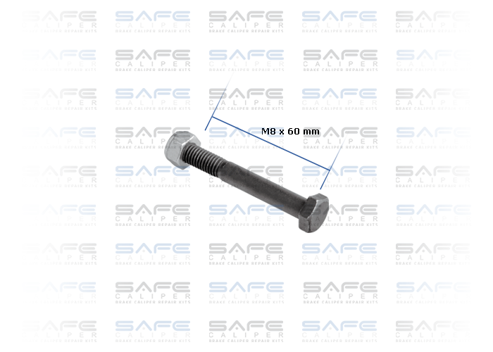Bolt with Nut (M8 x 60 mm)