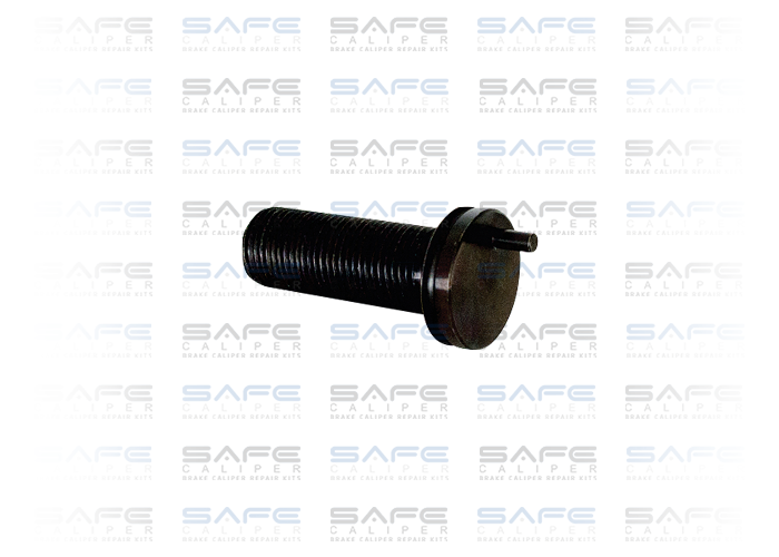Calibration Bolt