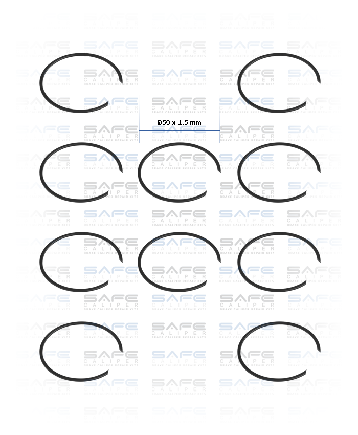 Caliper Circlip Kit