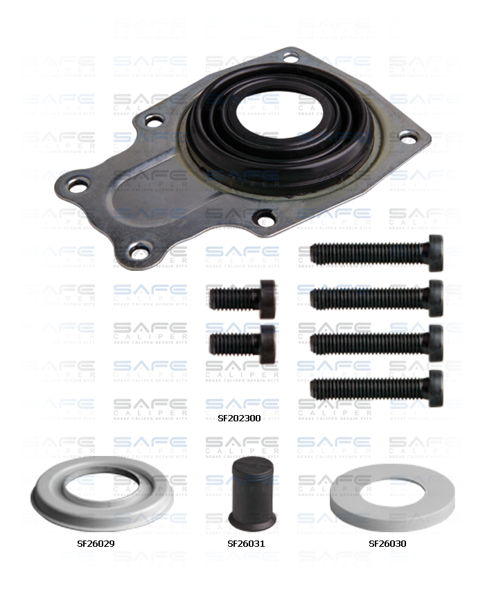 Caliper Dust Cover & Seals Repair Kit