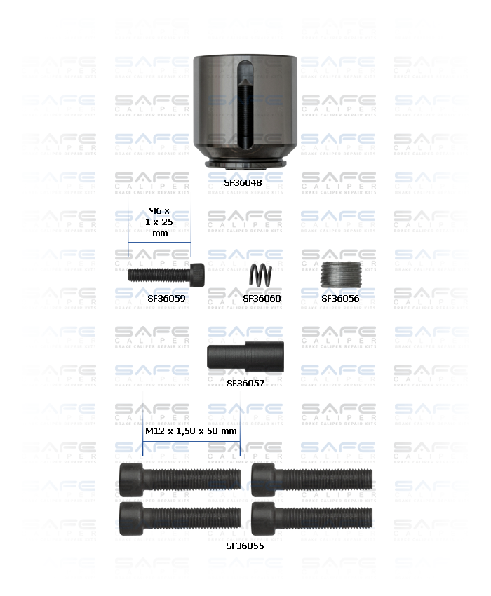 Caliper Piston Kit (Left)