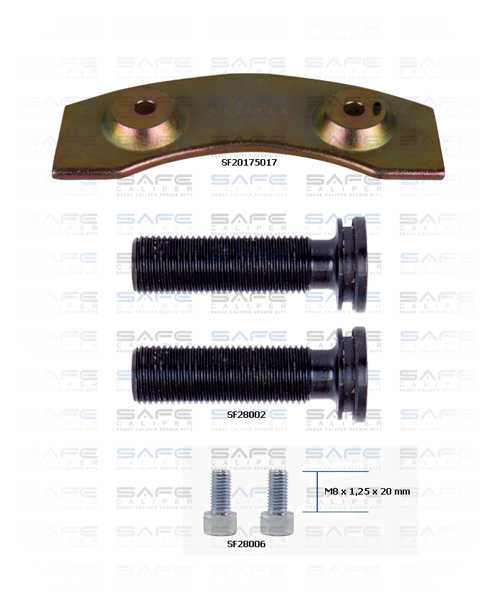 Caliper Push Plate Repair Kit (Left)