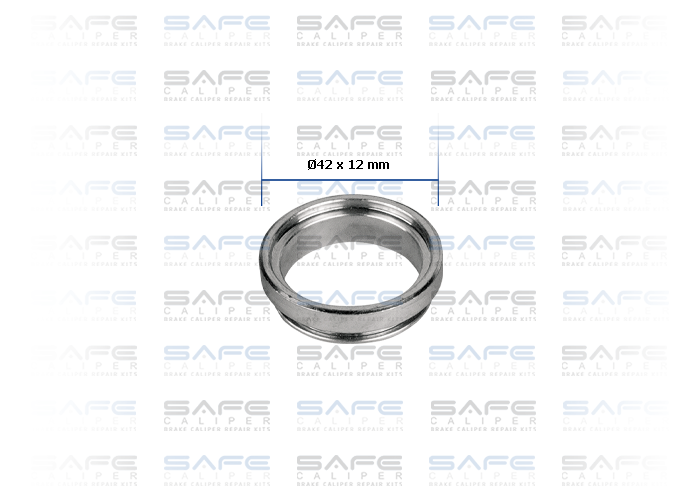 Dust Excluder Retainer (Ø42 x 12 mm)