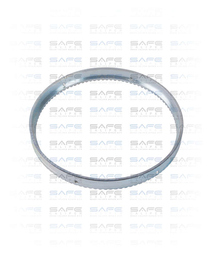 ABS Ring (Rear)
