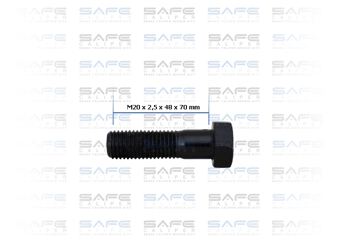 Bolt (M20 x 2,5 x 48 x 70 mm)
