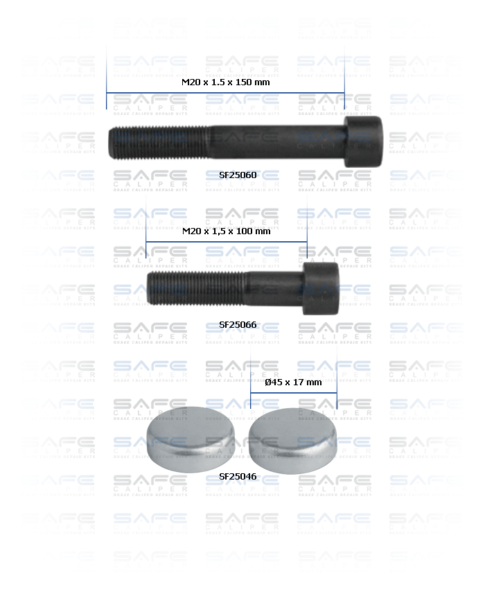 Caliper Bolt & Cap Kit