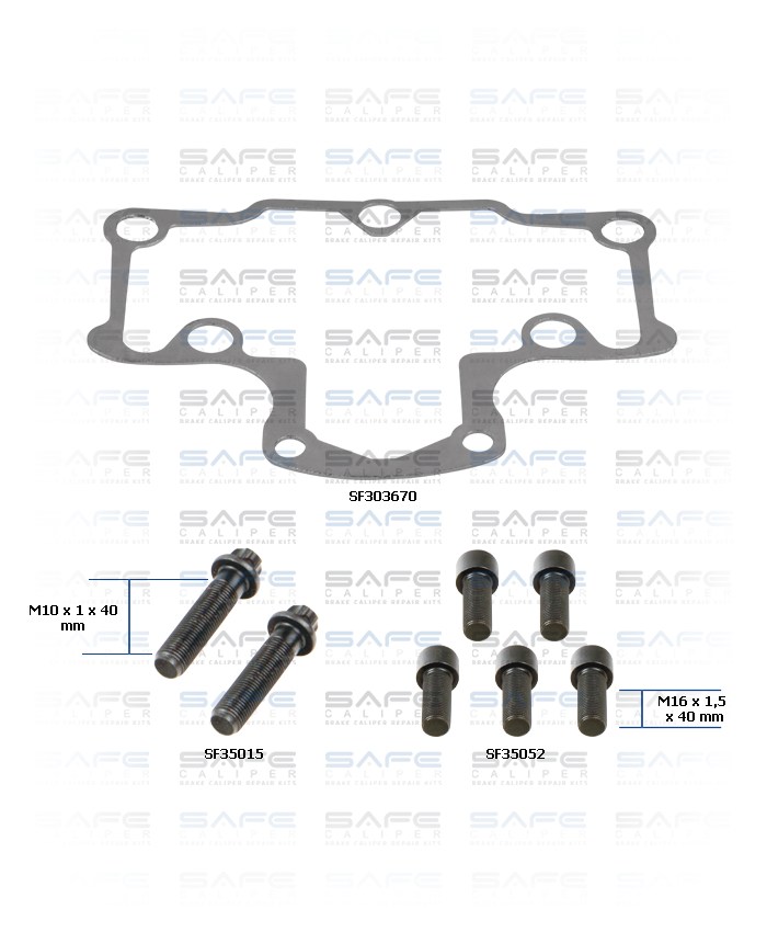 Caliper Bolts & Gasket Repair Kit