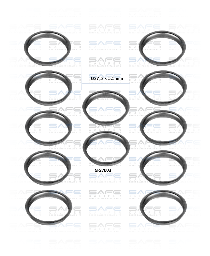 Caliper Dust Excluder Retainer Kit