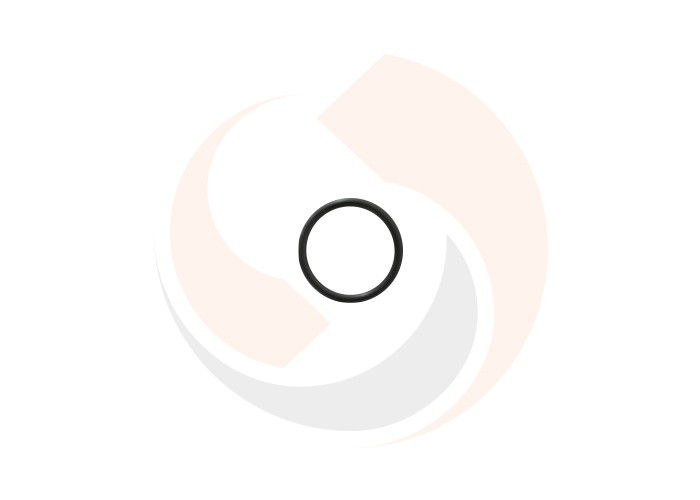 O-ring - 77005