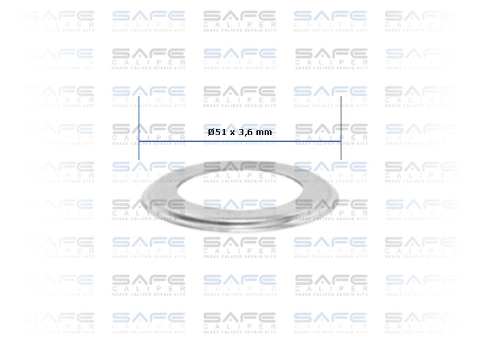 Washer (Ø51 x 3,6 mm)